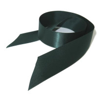 School Ribbon Green 2.5 cm