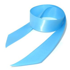 School Ribbon Sky Blue 2.5 cm